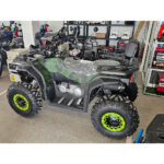 atv 250 kubika avtomatichni skorosti bullmax intruder zeleno 3.jpg