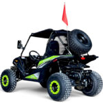 Двуместно бензиново offroad utv Бъги 200сс, Безплатен profi пакет